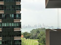 Skyline Residences (D4), Condominium #549786971